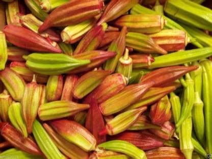 DIOART ™F1 HYBRID OKRA SEEDS-693 Seed Price in India - Buy DIOART ™F1 ...