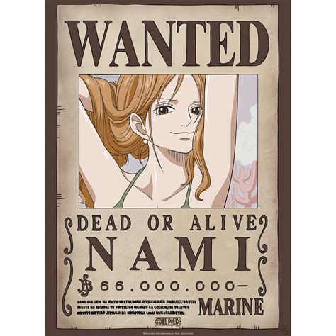 One Piece Wanted Poster Nami Wanted Nami Embroidery Design, One Piece