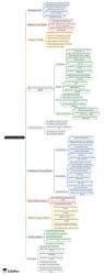 Mind Map: Methods of Cooking and its Effect on Nutritional Components ...