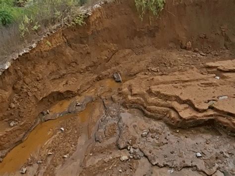 Farmers Crisis in Vindhya-Mahakaushal; Warnings Ignored | Narmada ...