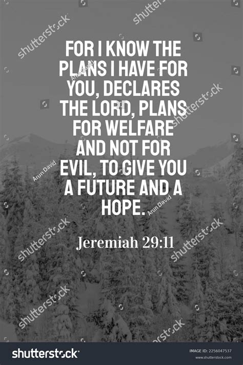 Black Vinyl Decal Quot;For I Know The Plans I Have For You Declares The ...
