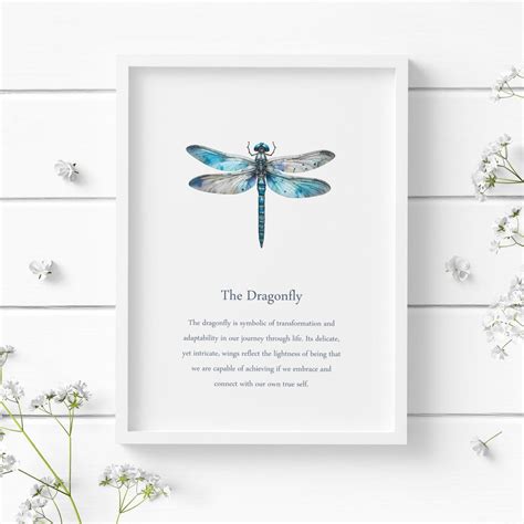 Dragonfly Meaning & Symbolism Print | Illustrated Wall Art ...