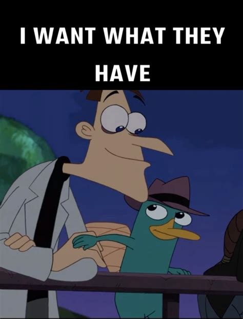 perry the platypus💘” | Perry the platypus, Phineas and ferb memes ...