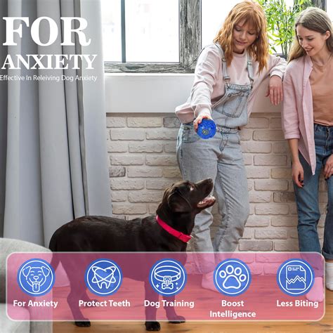 ZUFFIE Plastic Dog Toy Ball, Bouncy Fetch Ball with Handle for Easy Gr