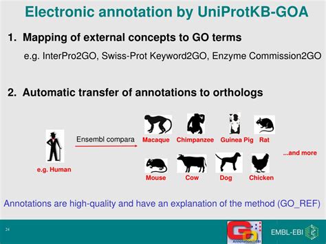Image result for Go Annotation