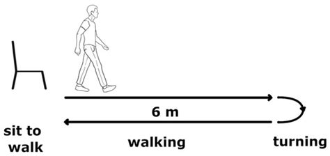 Harmonic Distortion Aspects in Upper Limb Swings during Gait in ...