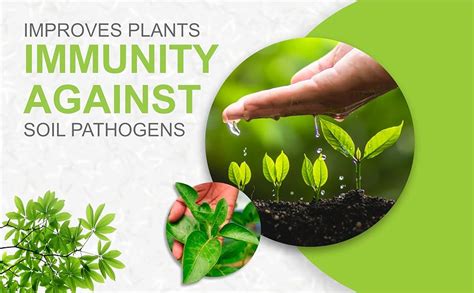 Go Garden Trichoderma Bio Fungicide for plants (2 x 10^8 CFU per Gram ...