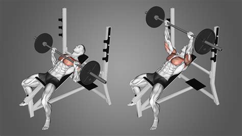 Lying Chest Press Vs Bench Press at Christy Calvin blog