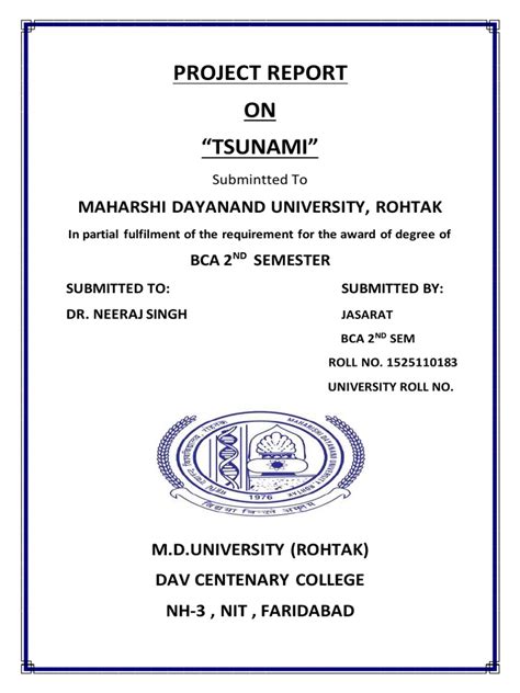 Image result for Tsunami Project File