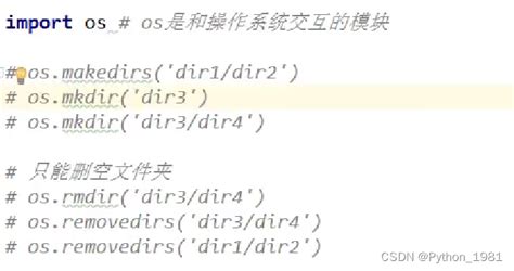 Python OS Tutorial 的图像结果