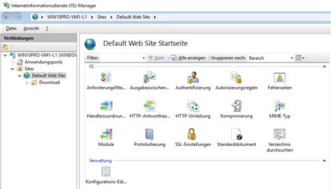 Rezultat imagine pentru Windows IIS Web Server