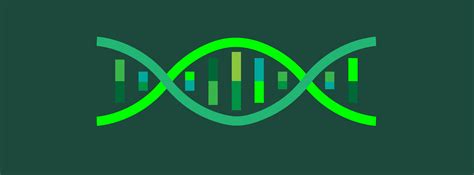 Image result for Genetic Algorithm Explained