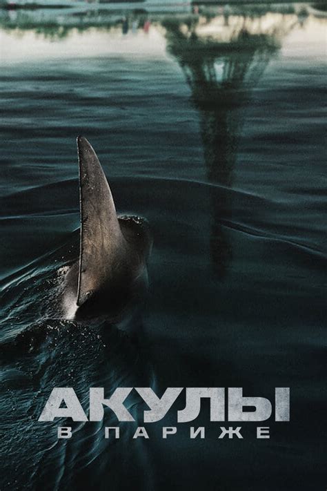 Акулы в Париже (2024) - Постеры - Фильм.ру