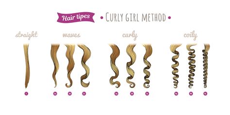 Understanding the Hair Types and Hair Typing Systems - Hood MWR