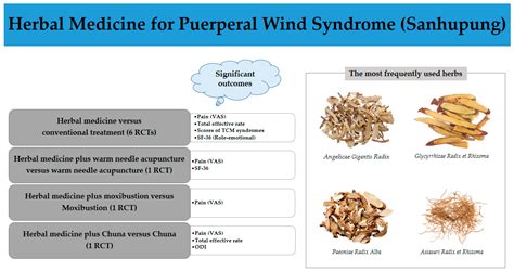 Herbal Medicine for Postpartum Pain: A Systematic Review of Puerperal ...
