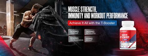 India's Best Body Building Supplement Store Online – FB NUTRITION