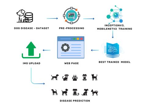 Canine Skin Disease Classification Using Convolutional Neural Networks ...