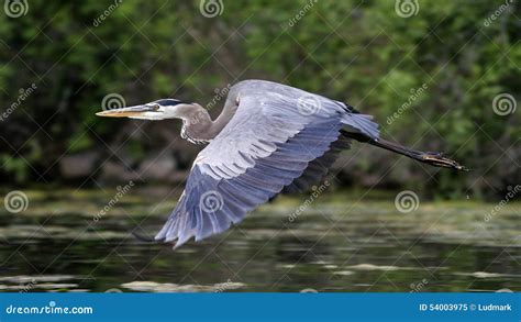 Image result for Kay Samuelson