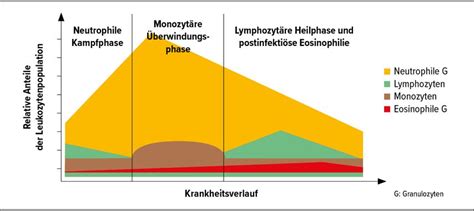 Die Eosinophilie und ihre infektiologischen Ursachen - Infektiologie ...