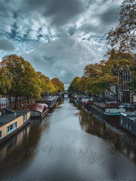 IPhone 12 Camera Features 的图像结果