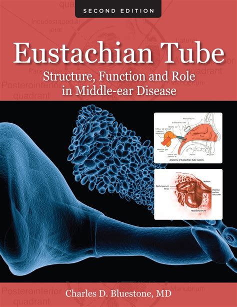 Buy Eustachian Tube: Structure, Function, and Role in Middle-Ear ...