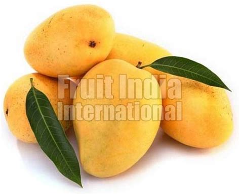 Image result for Mango Production Script Script