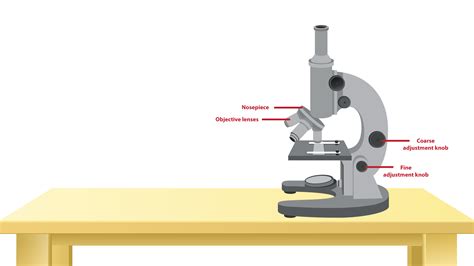 Image result for Free Science Lessons How Microscope Can Be Calibrated