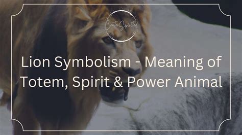 Lion Symbolism - Meaning of Totem, Spirit & Power Animal