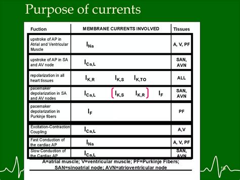 Image result for Understanding Cardiac Current