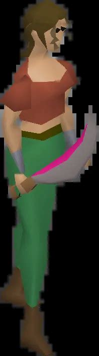 Image result for OSRS Defence Training Guide