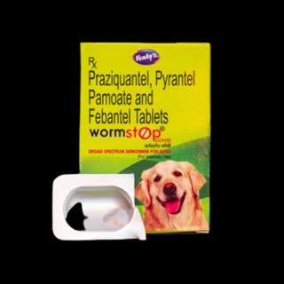 Intas Cefpet Dry Syrup-30ml - Pets Friend