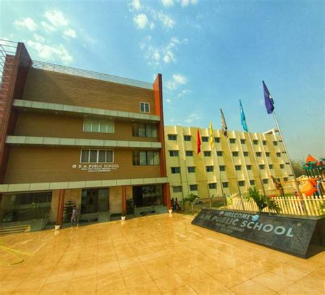 D. M. Public School
