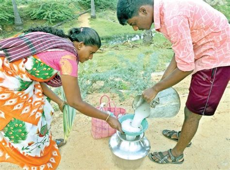 தூத்துக்குடி | உச்சத்தில் பதநீர் சீசன், கருப்பட்டி விலை அதிகரிப்பு ...