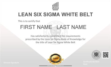 Lean Six Sigma White Belt