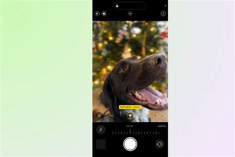 Image result for iPhone Camera Tutorial