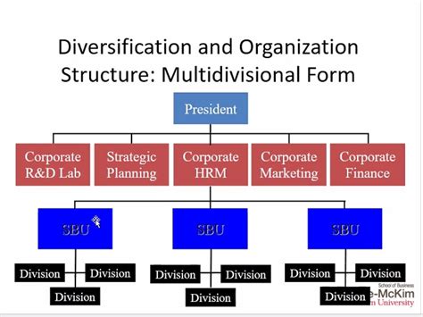 Multidivisional Structure 的图像结果
