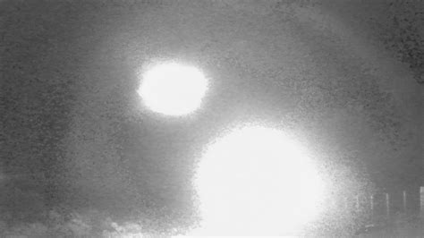 Latest Science. Research 的图像结果