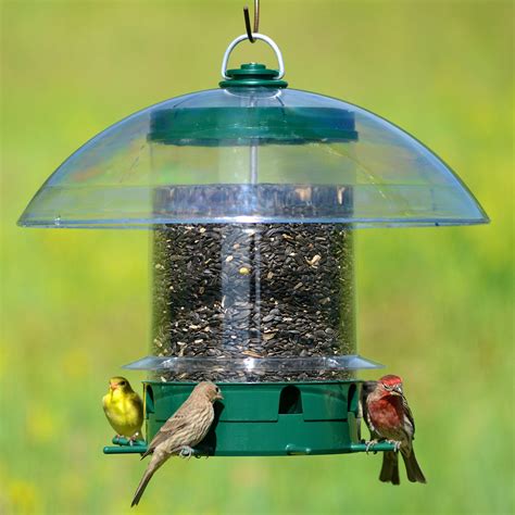 Big Bird Feeders For Sale at Leon Hollowell blog