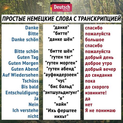 Базовые слова для начинающих #deutschonline #словарныйзапас #deutsch # ...
