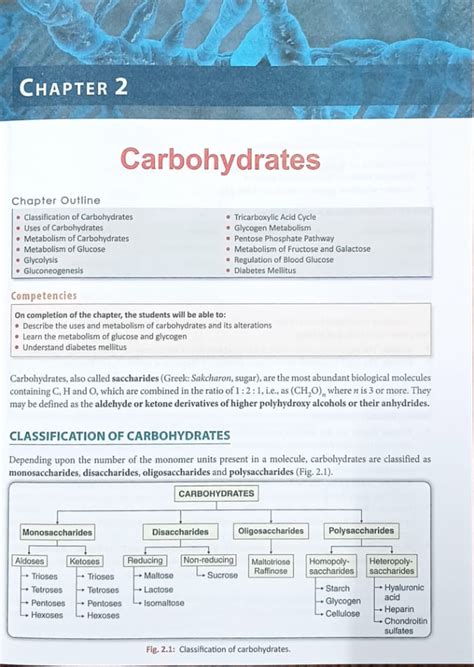 Biochemistry of Carbohydrates: Detailed Insights and Metabolic Pathways ...