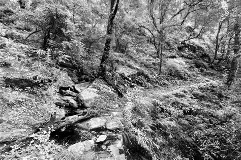 Jungle Stream: Steel Grey Landscape photography by Gautham Manohar ...