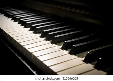 Image result for Music Instruments Black and White