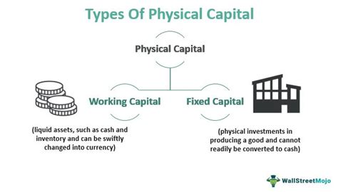 Example Capital Resources 的图像结果