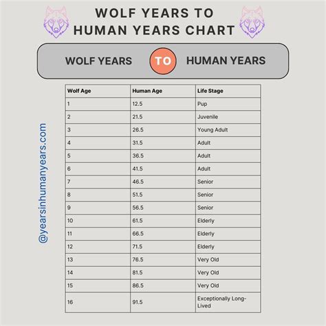 Lifespan Of Wolves