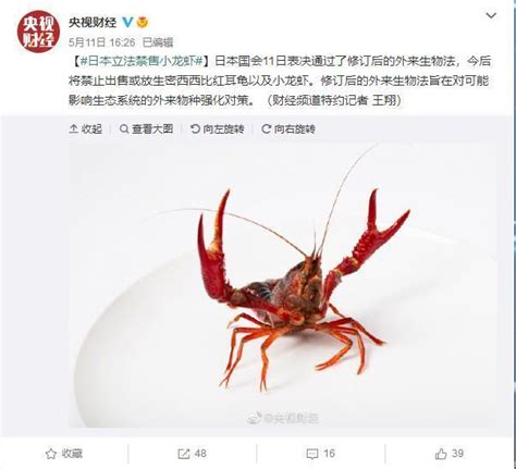 日本修订《外来生物法》 禁止出售小龙虾-时政新闻-浙江在线