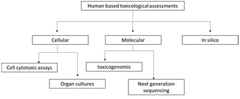 Novel insights of toxicological evaluation of herbal medicine: Human ...