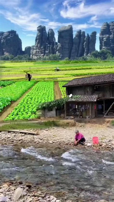 Tabasaran Indigenous People: Caucasian Traditional Carpet Weaving & Mountain Village Life