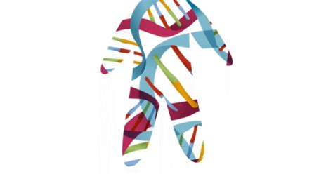 Image result for Irish DNA Testing