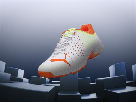 Most Expensive Shuttle Cock 的图像结果