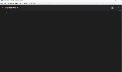 HTML vs Code Emmet 的图像结果